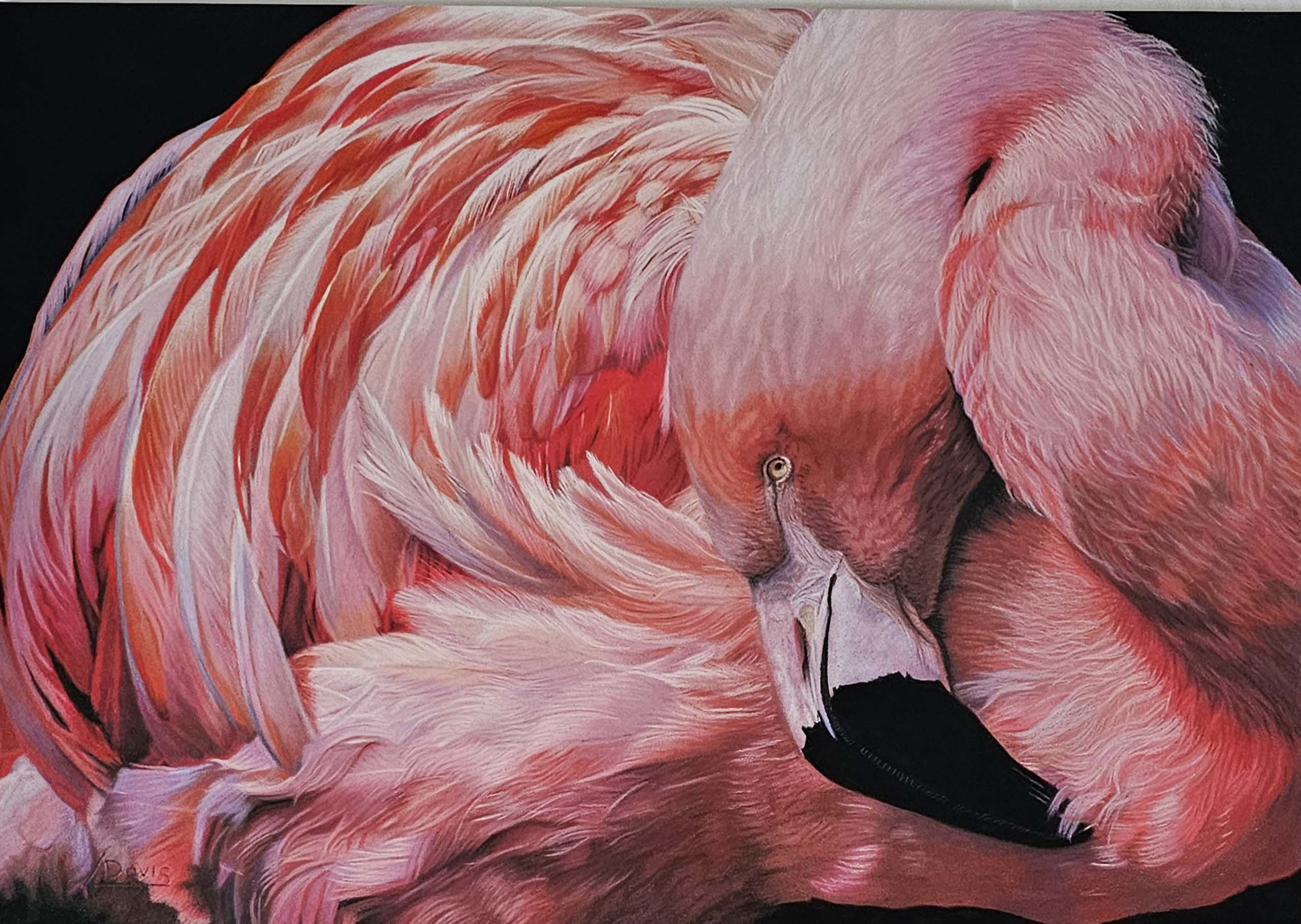 Pretty in Pink