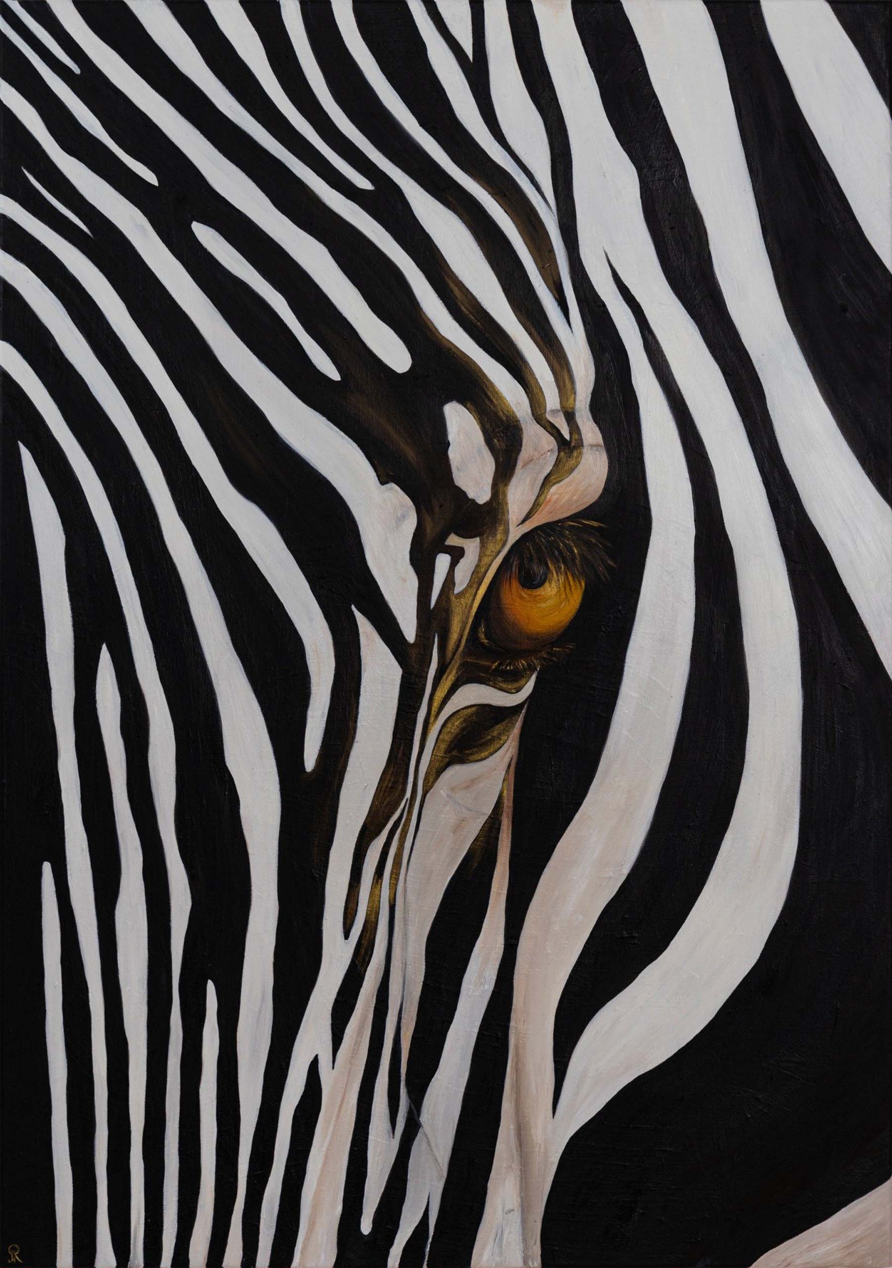 Zebra's Gaze