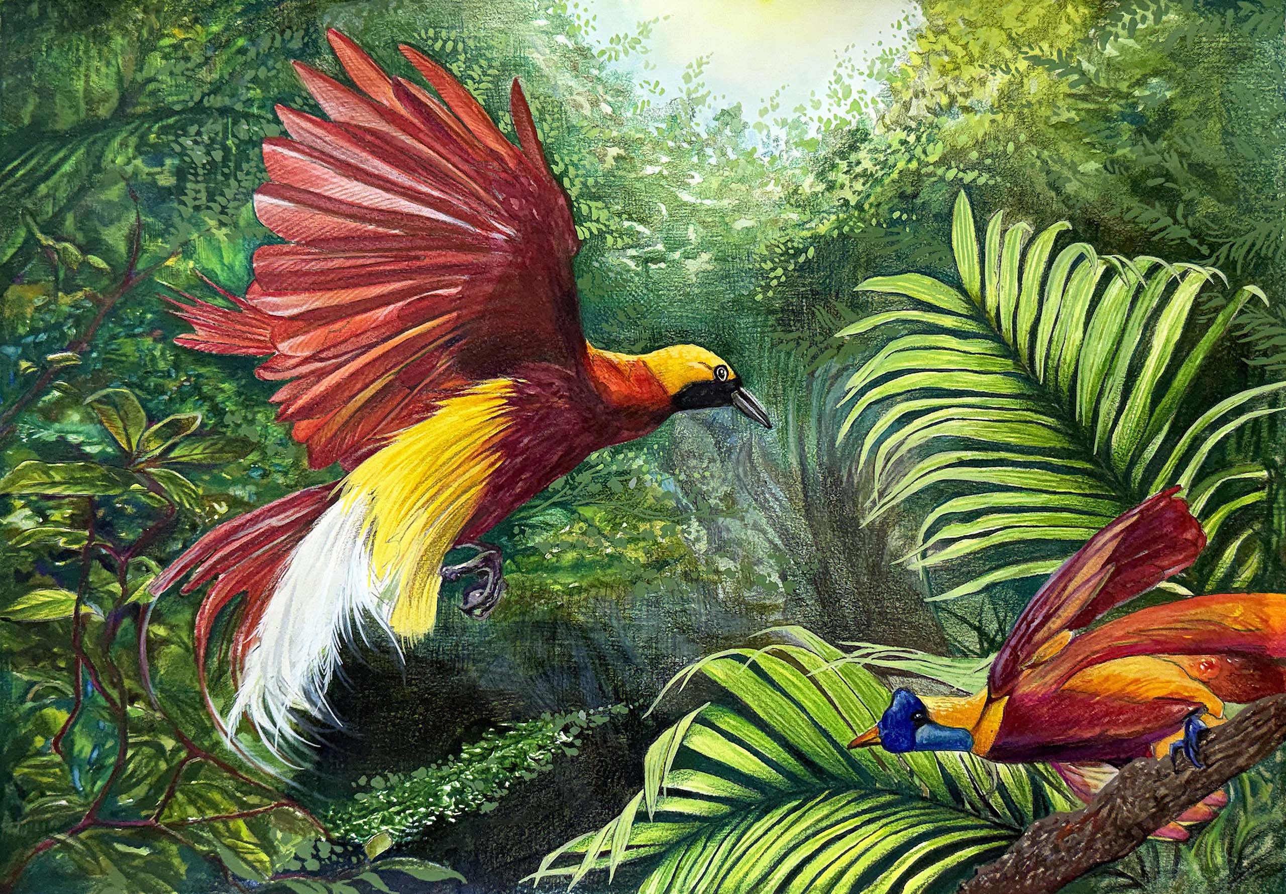Bird of Paradise