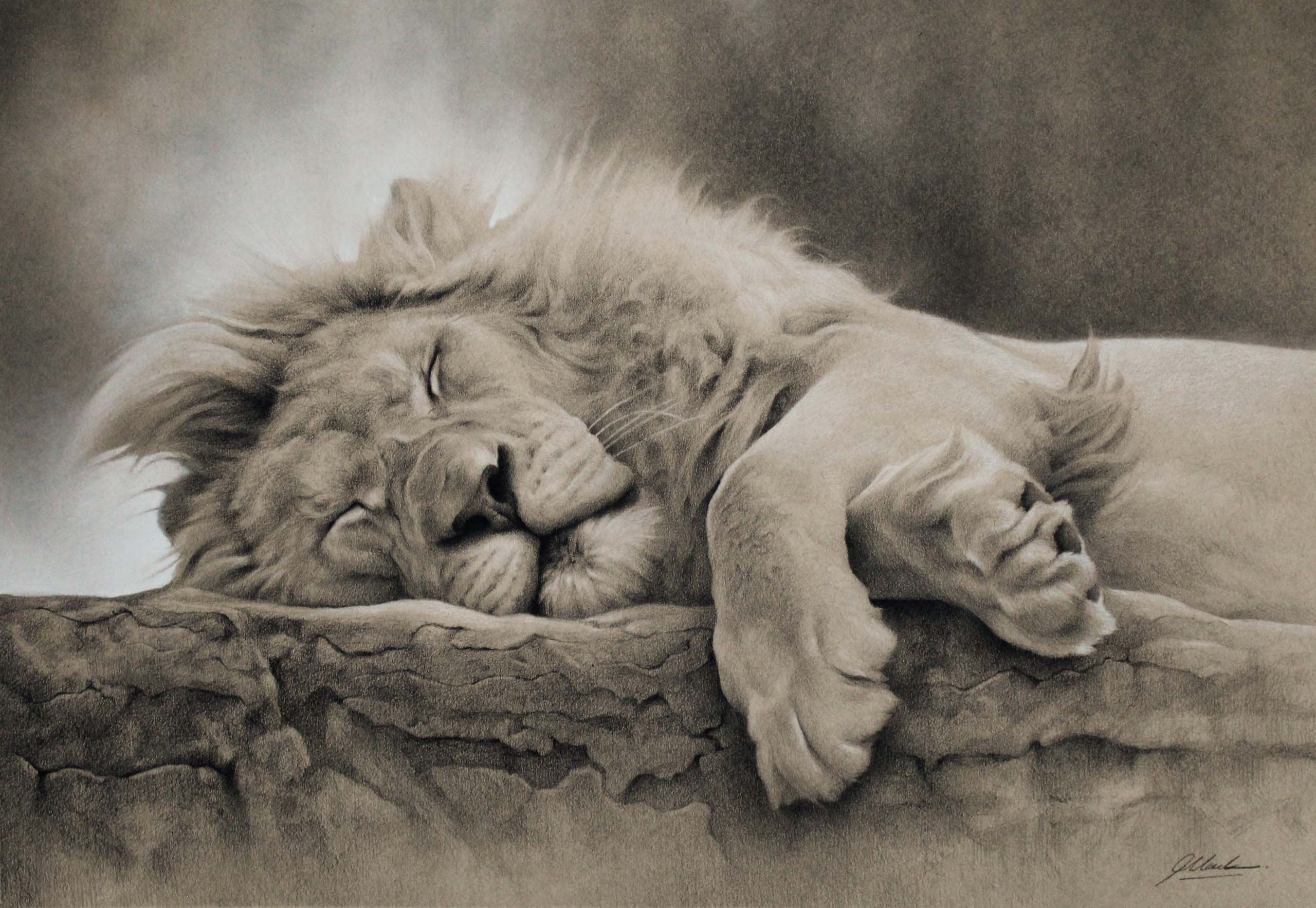 Rest Between Realms