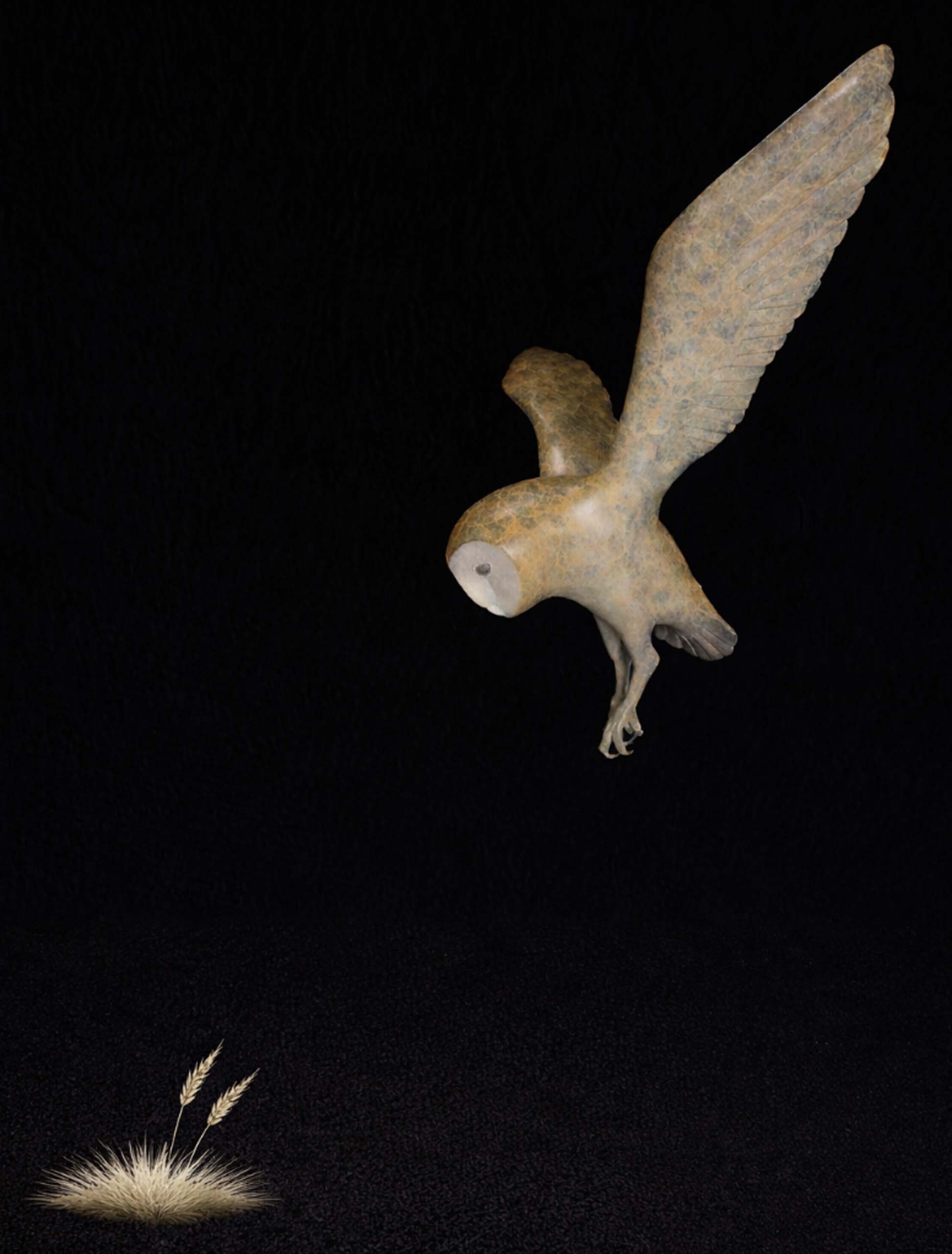 Owl in Flight