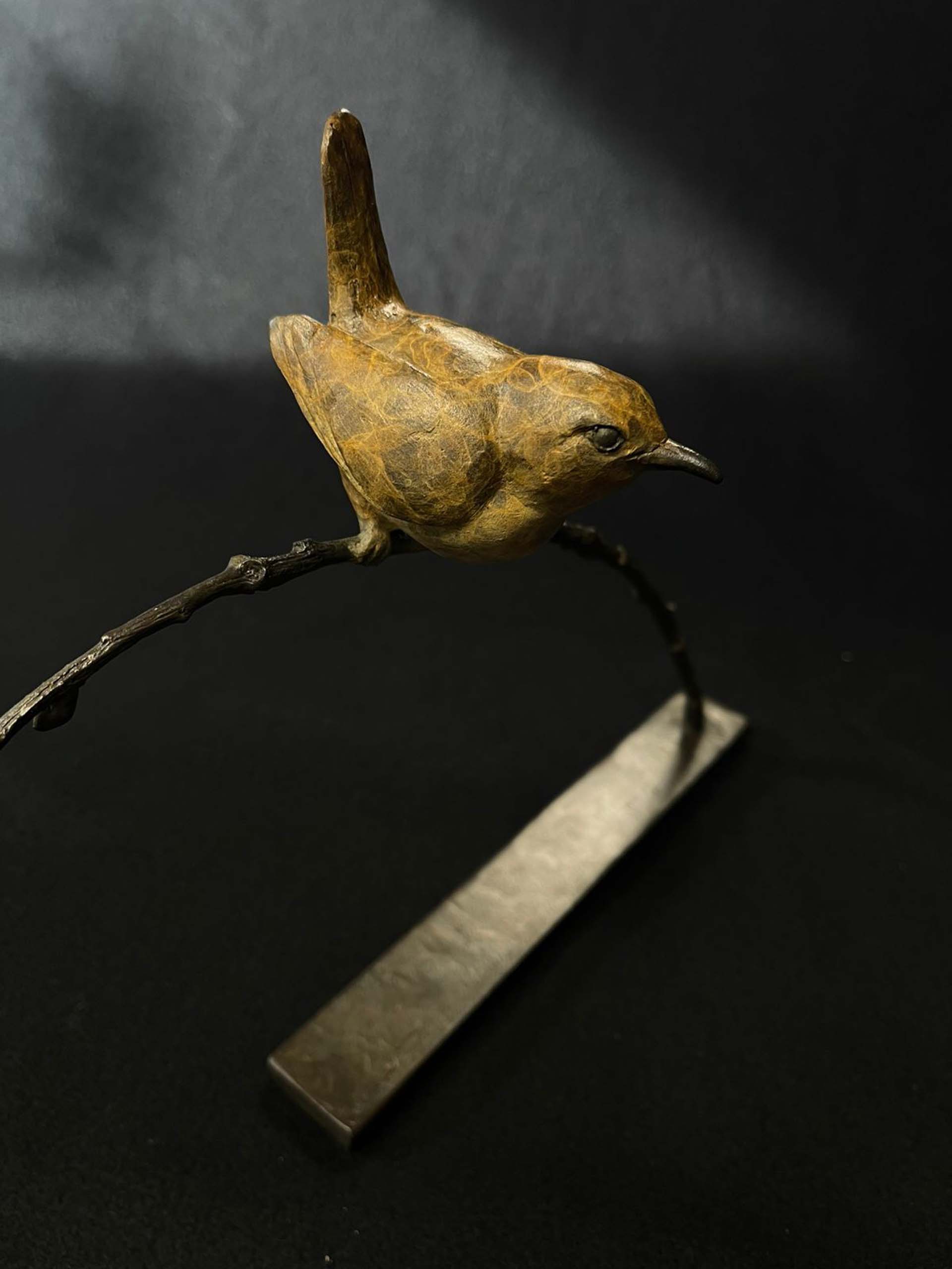 Jenny Wren
