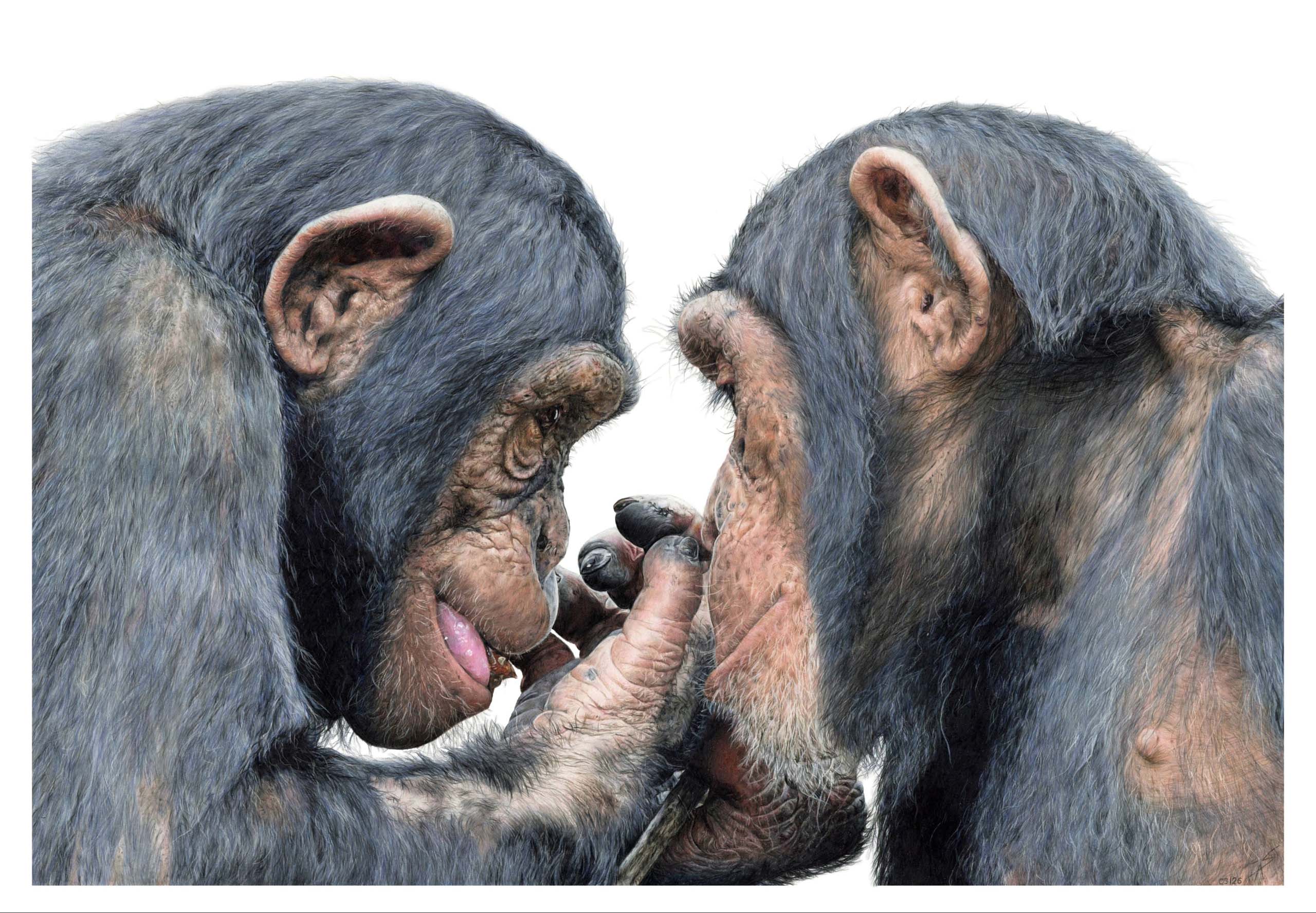 Two of Us
