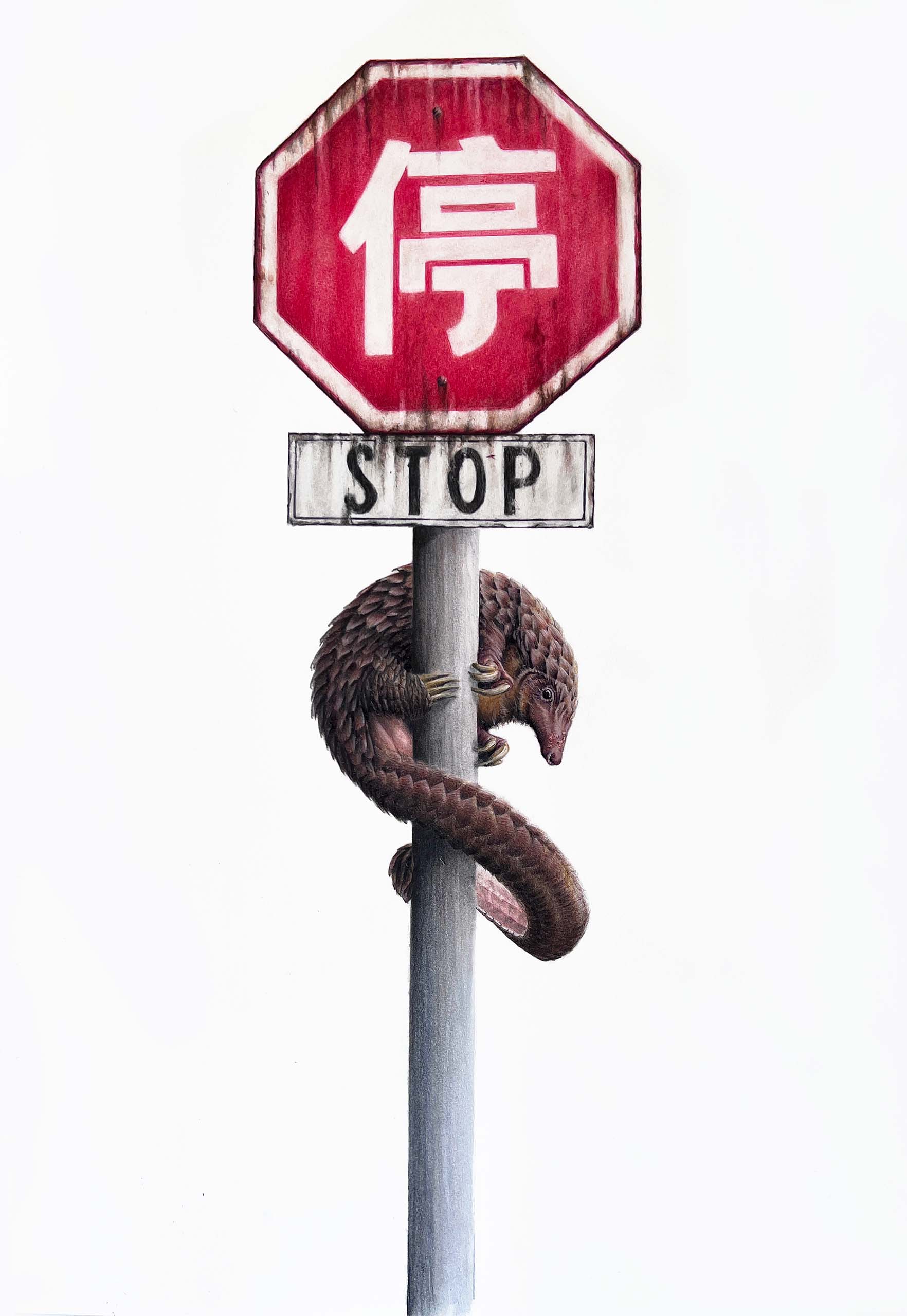 STOP!