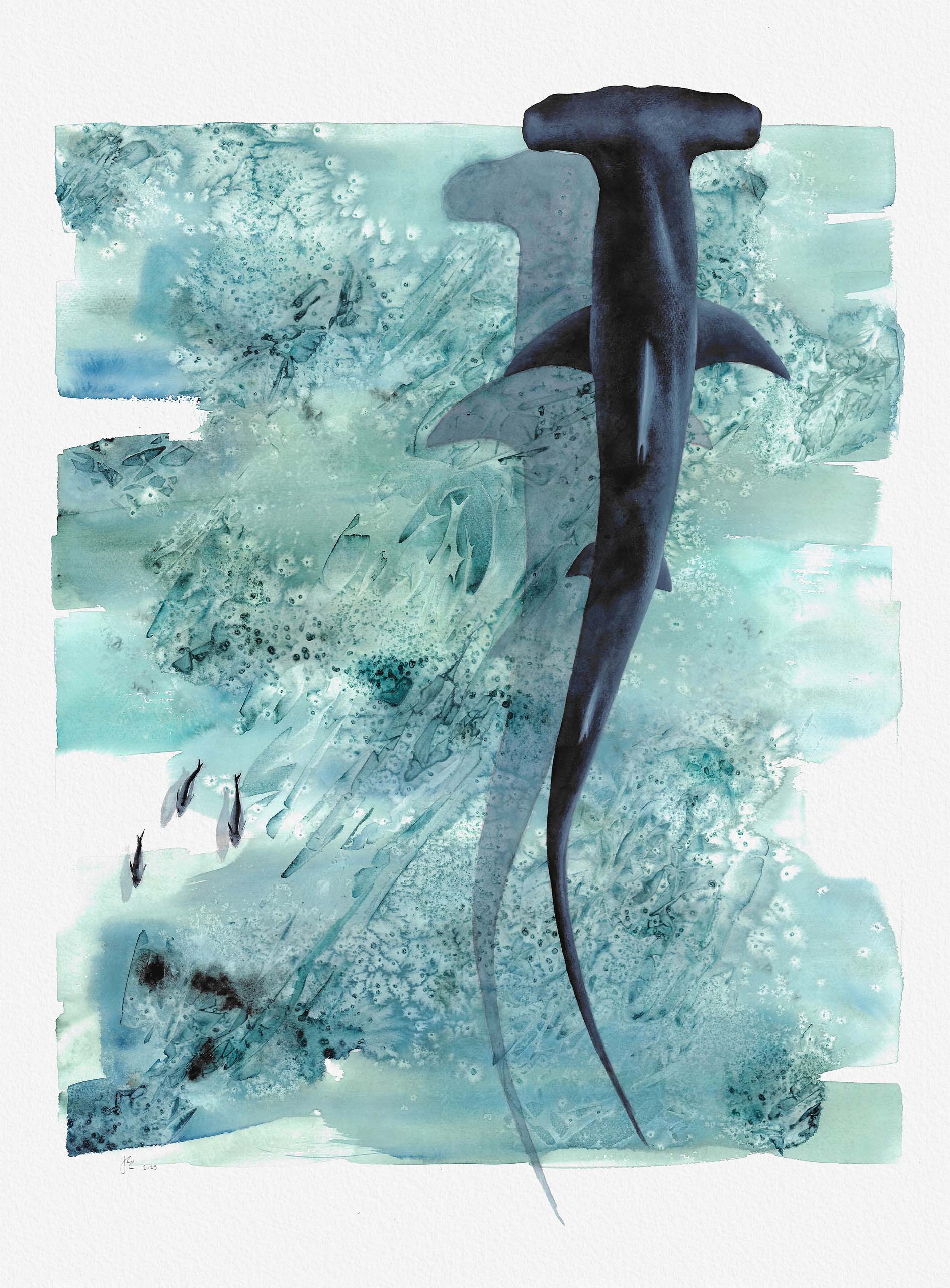 In the Shallows