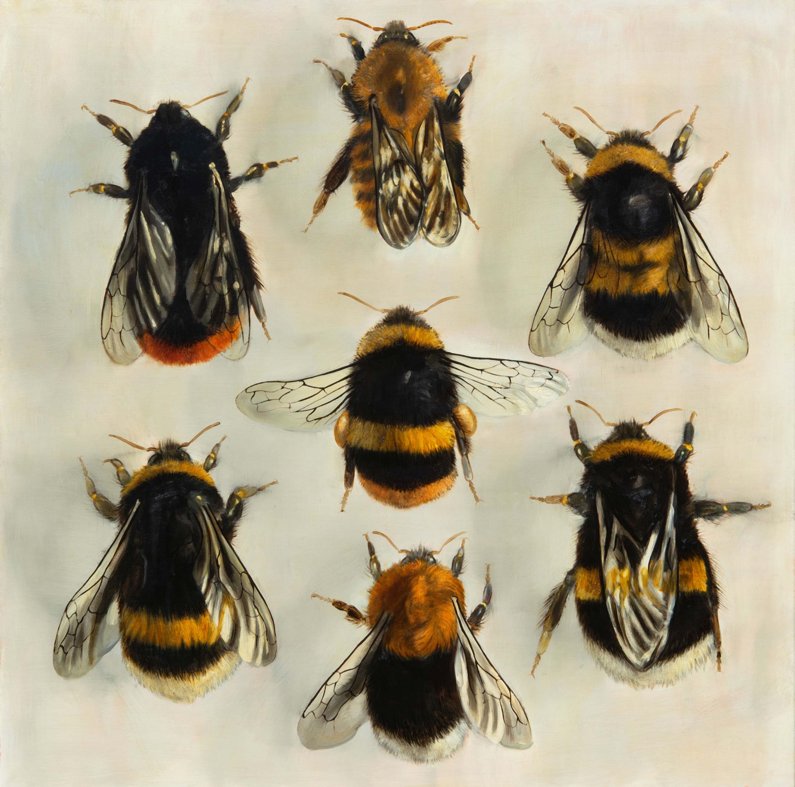 Seven Bumblebees