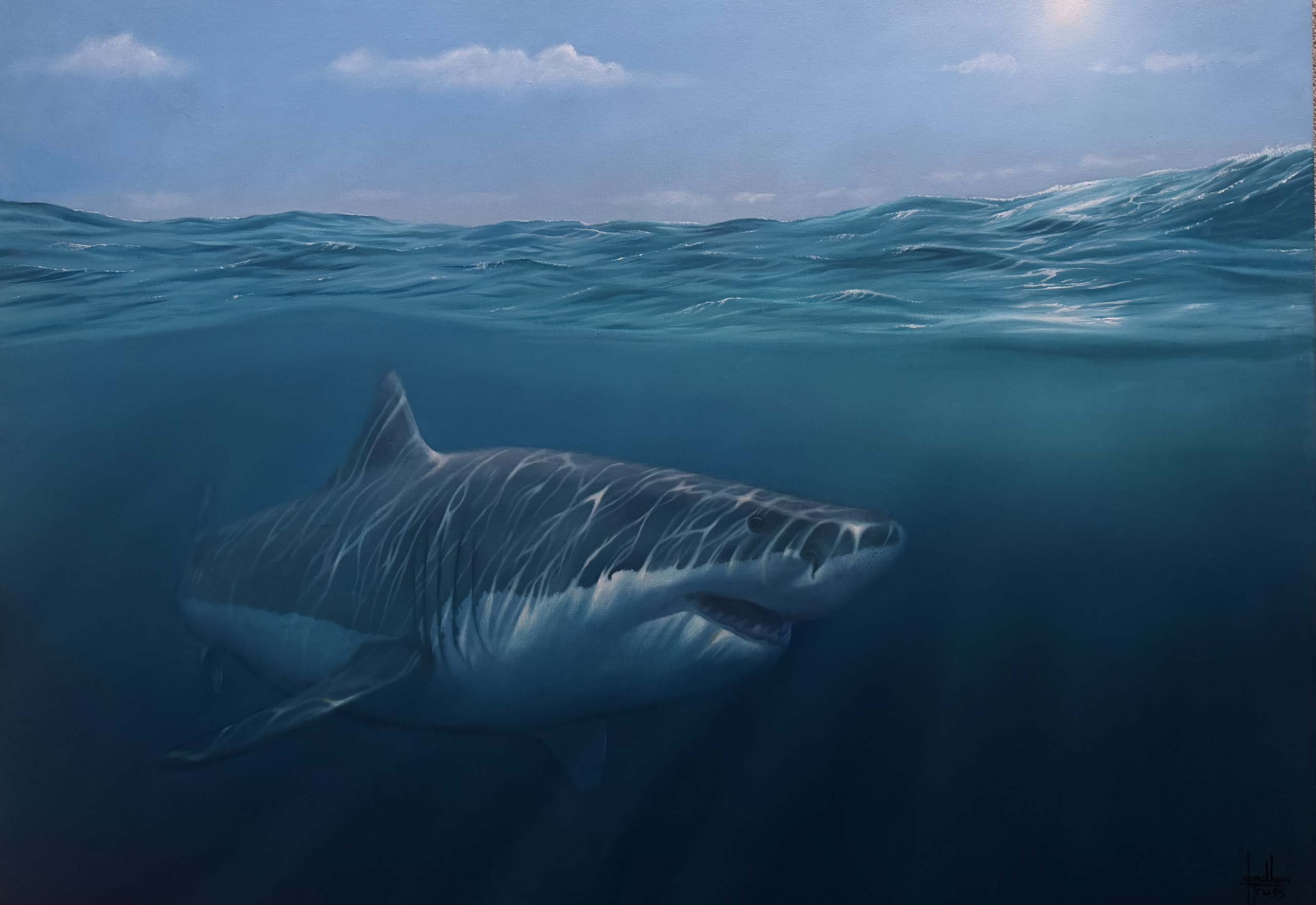 Great White Ocean’s Apex