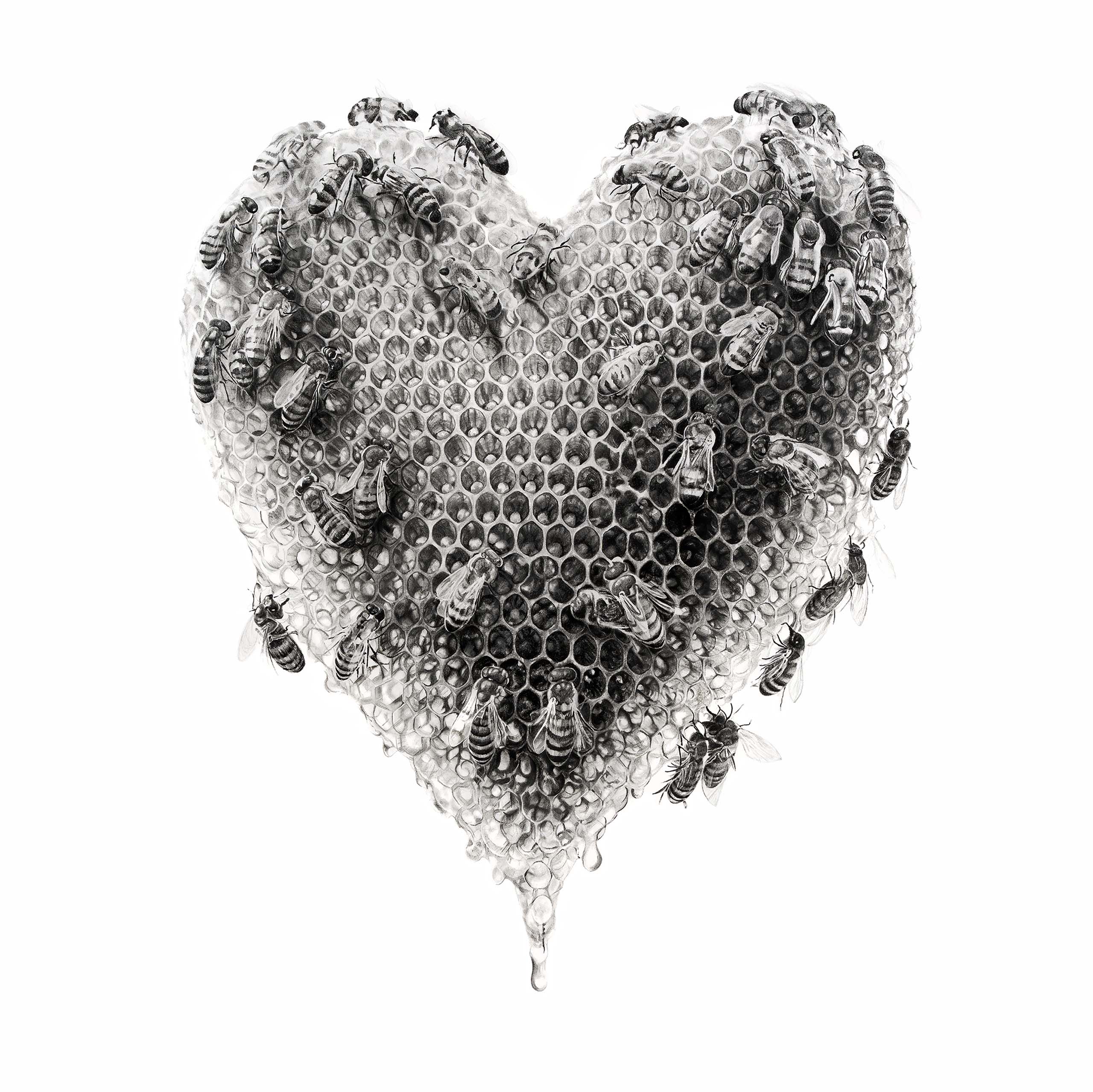 Home is Where the Honey is