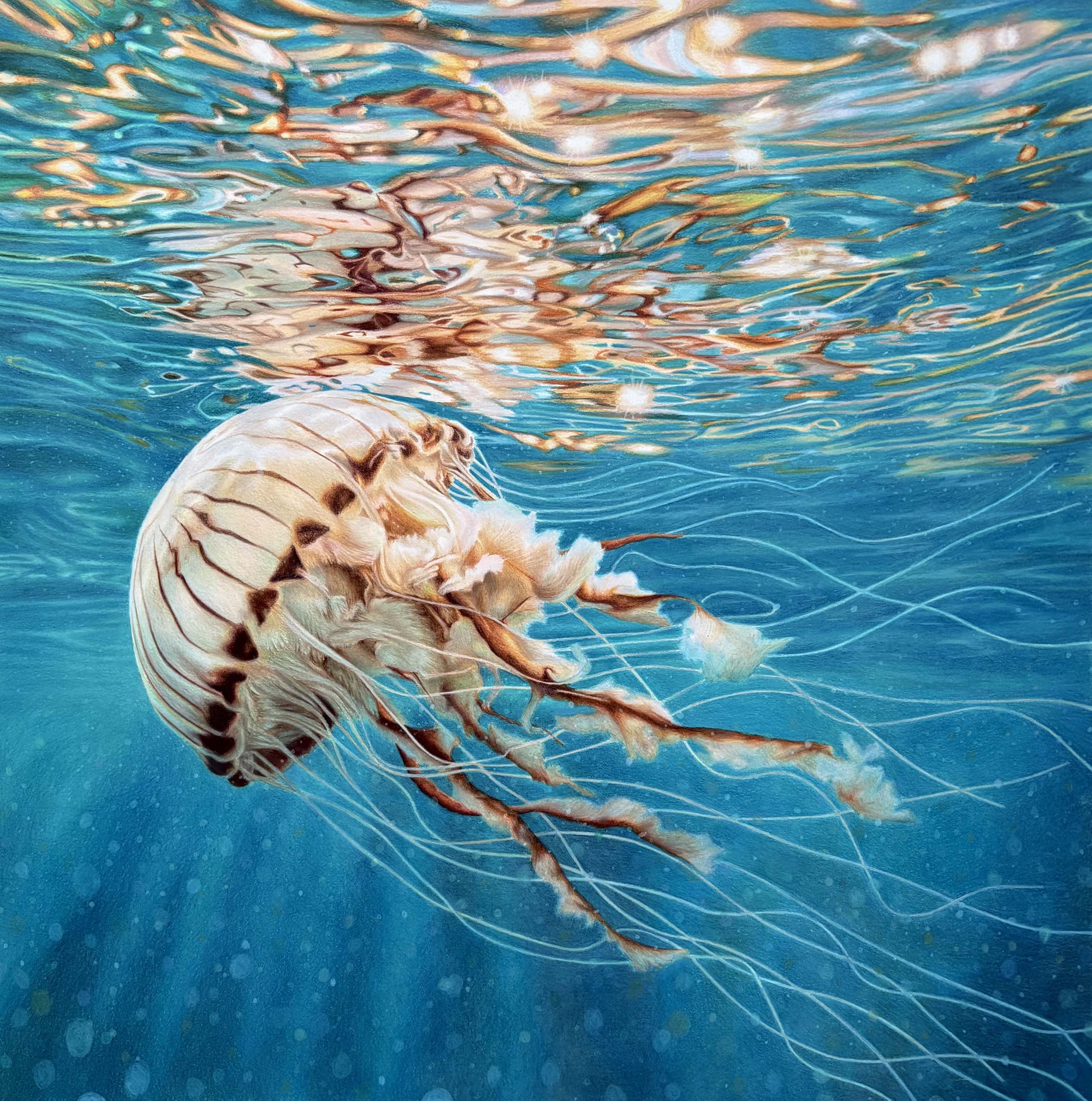 Jellyfish Fields