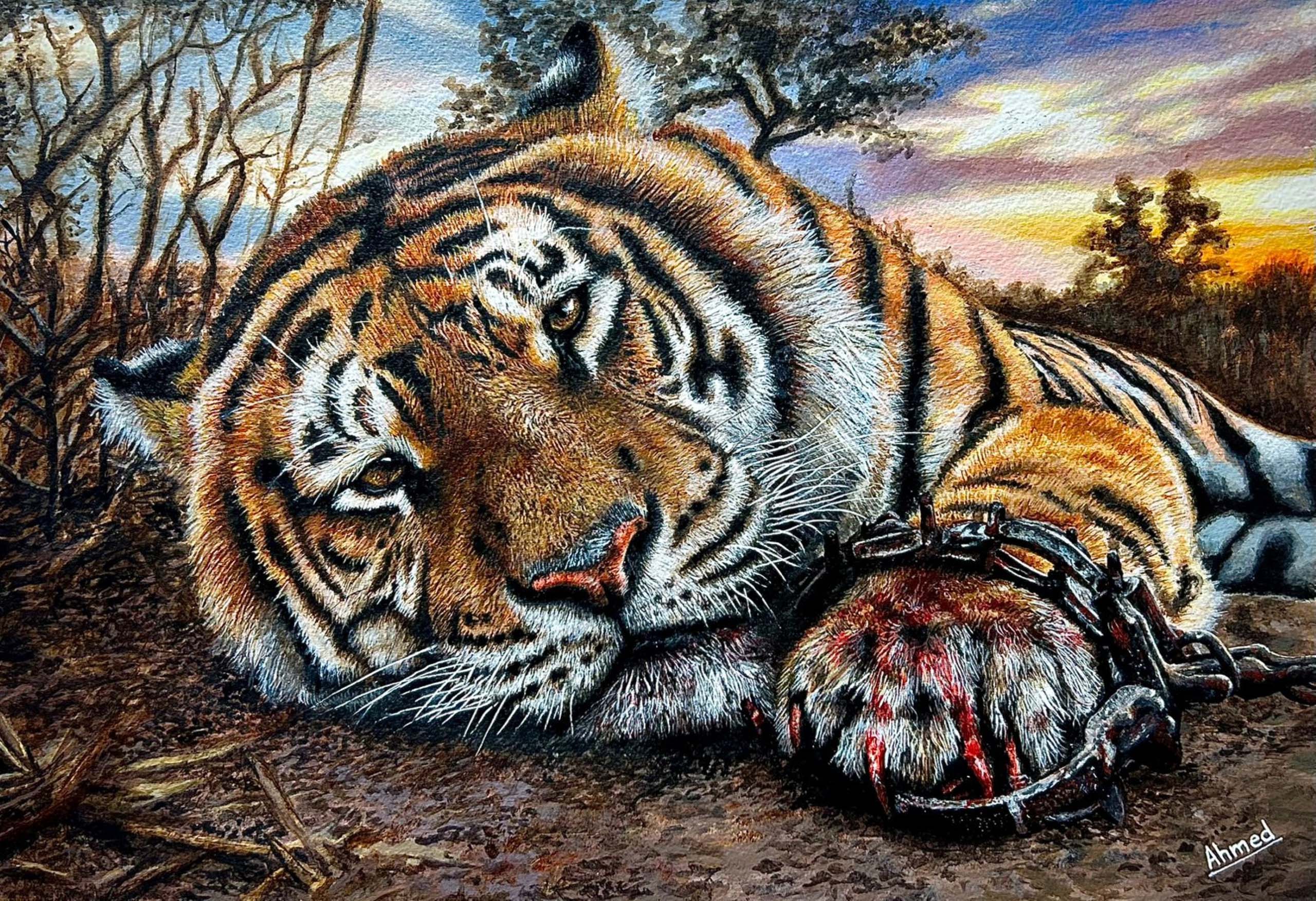 Tiger in a Trap