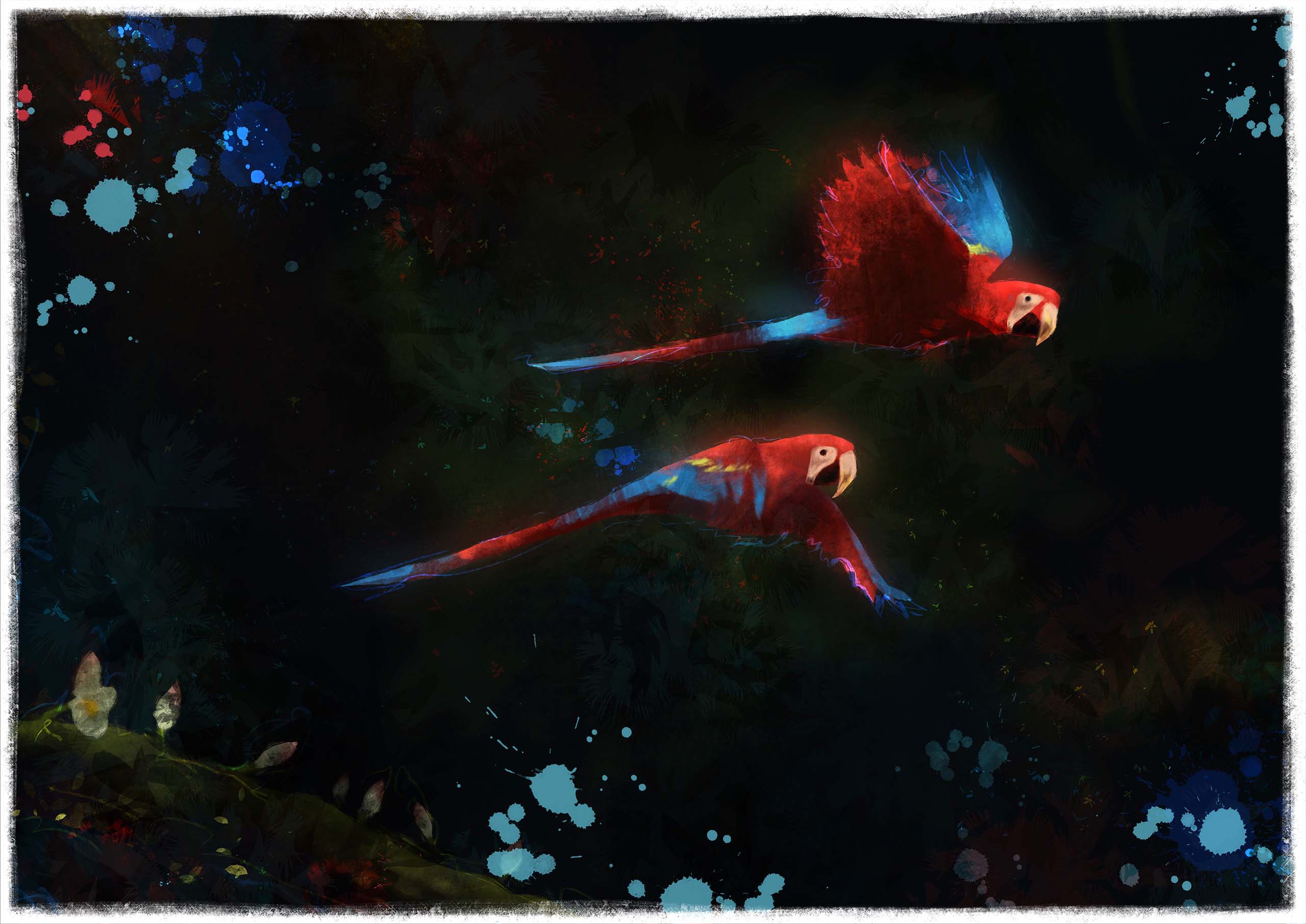Spiritus Amazonia
