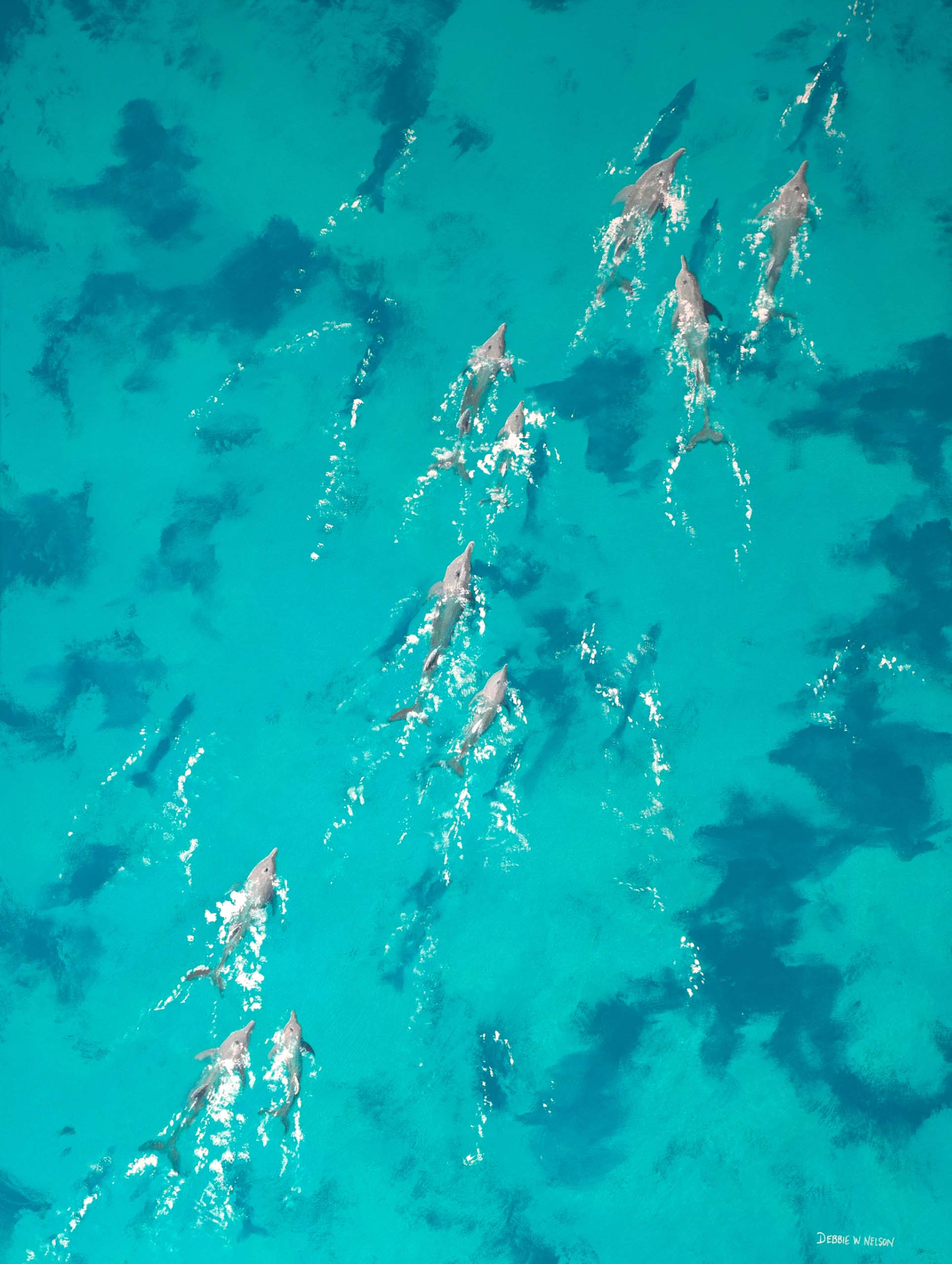 Dolphins in the Blue