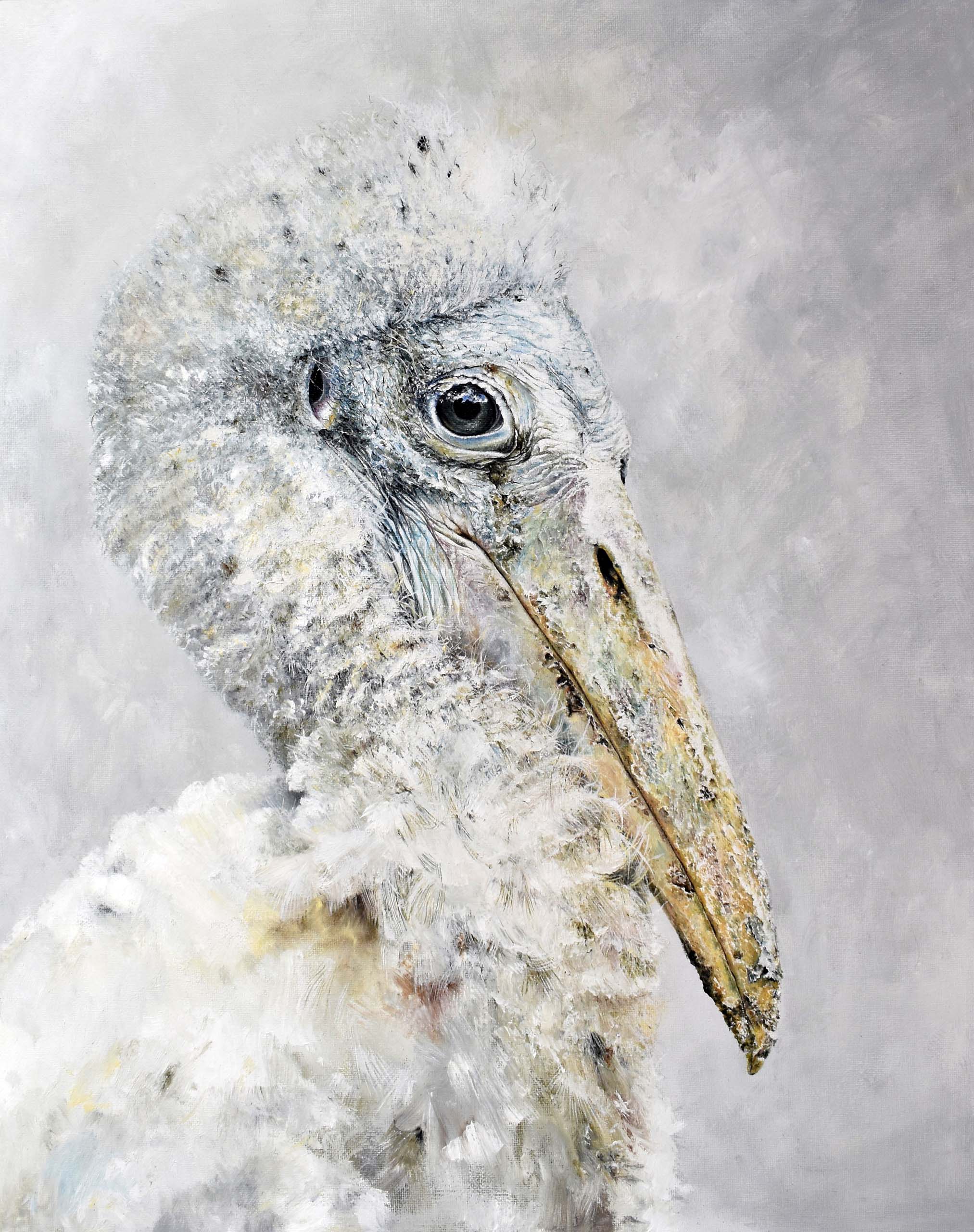 Wood Stork II