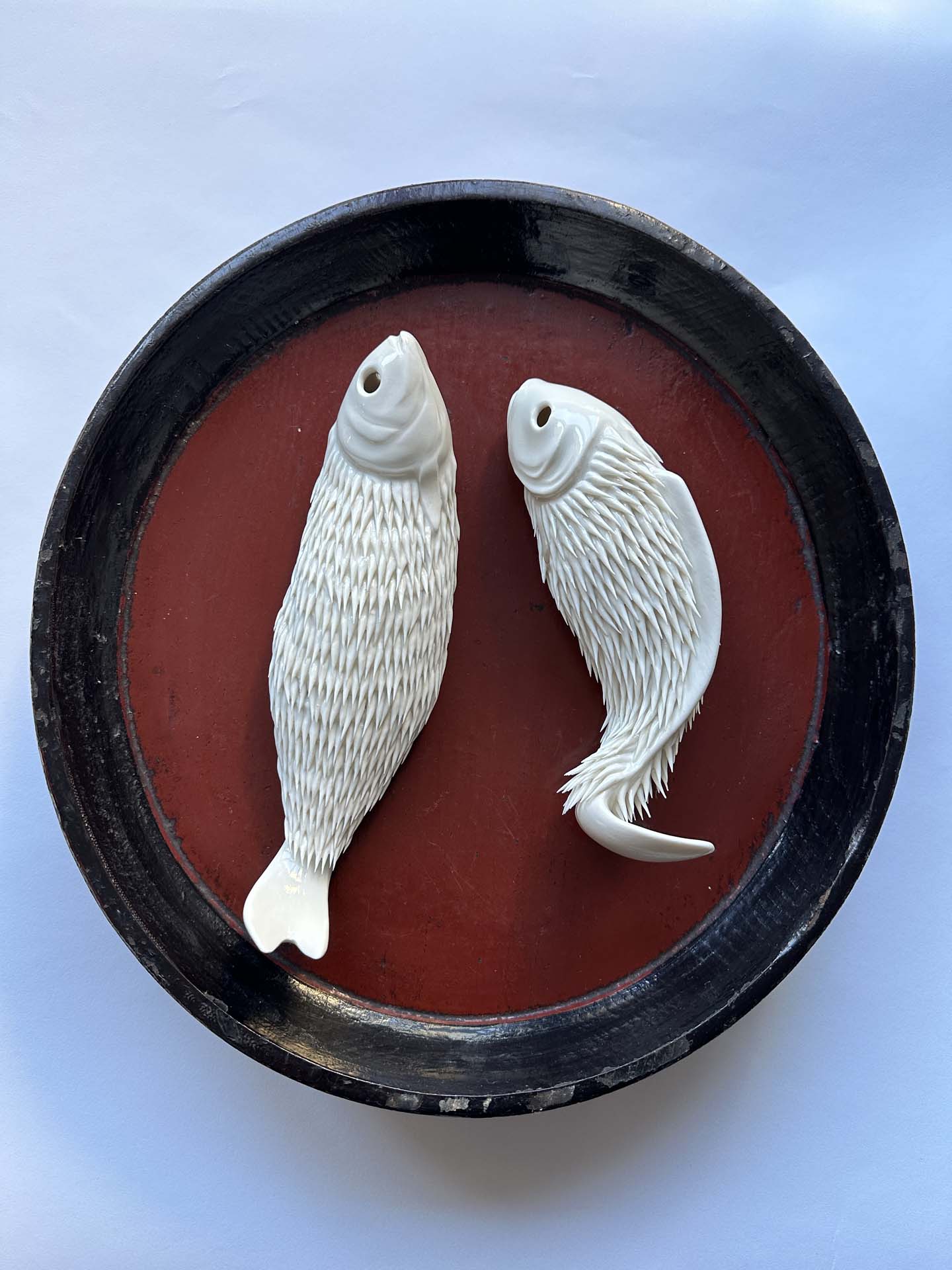 Ghosts from the Sea—Curly Fin