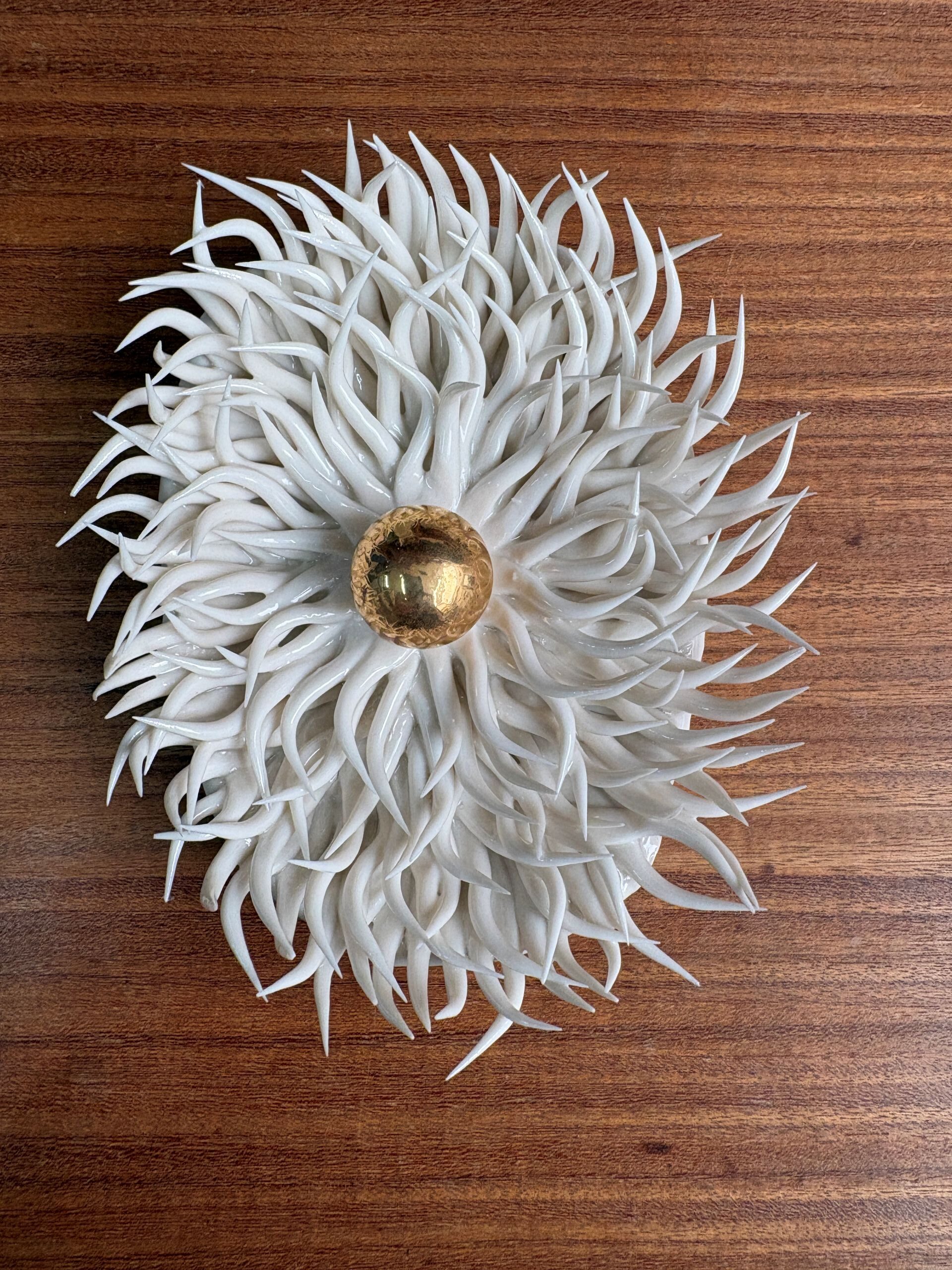 Petit Golden Pearl I