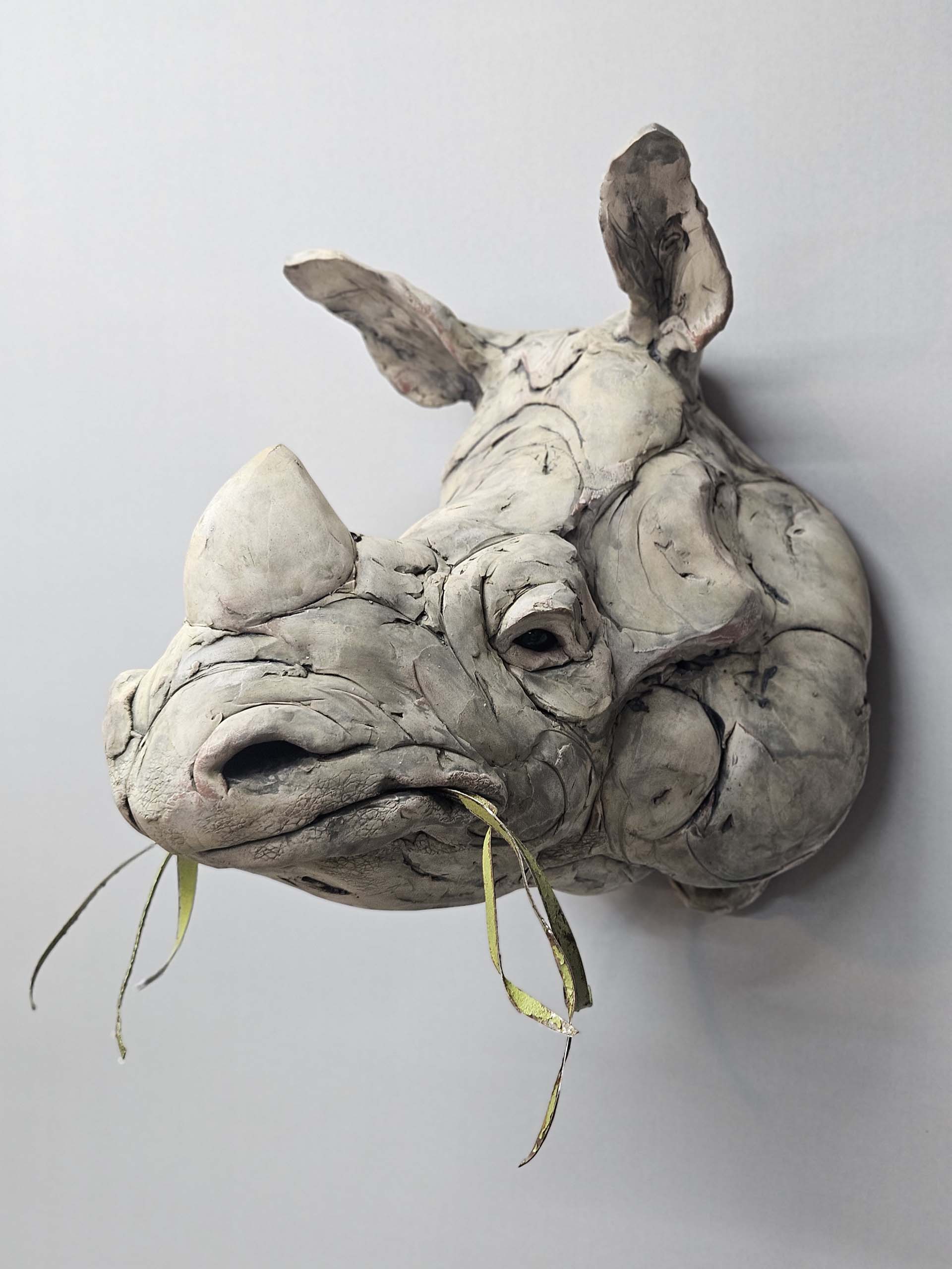 Indian Rhinoceros