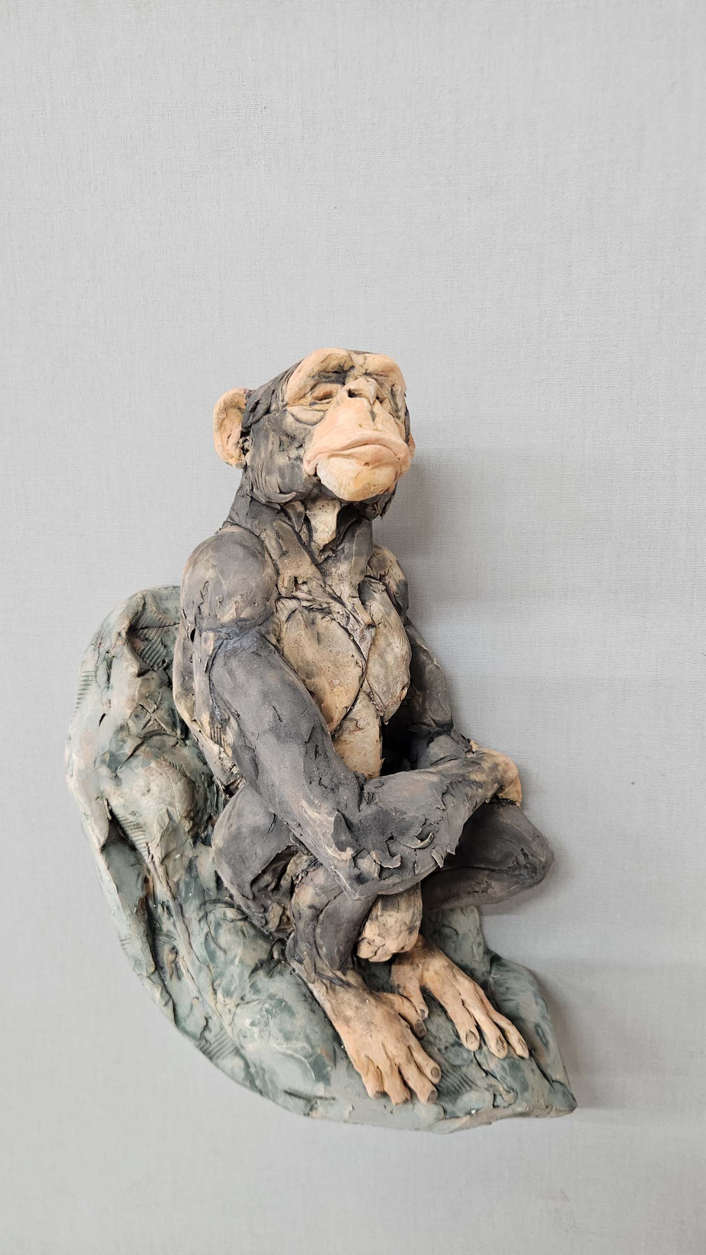 Chimpanzee