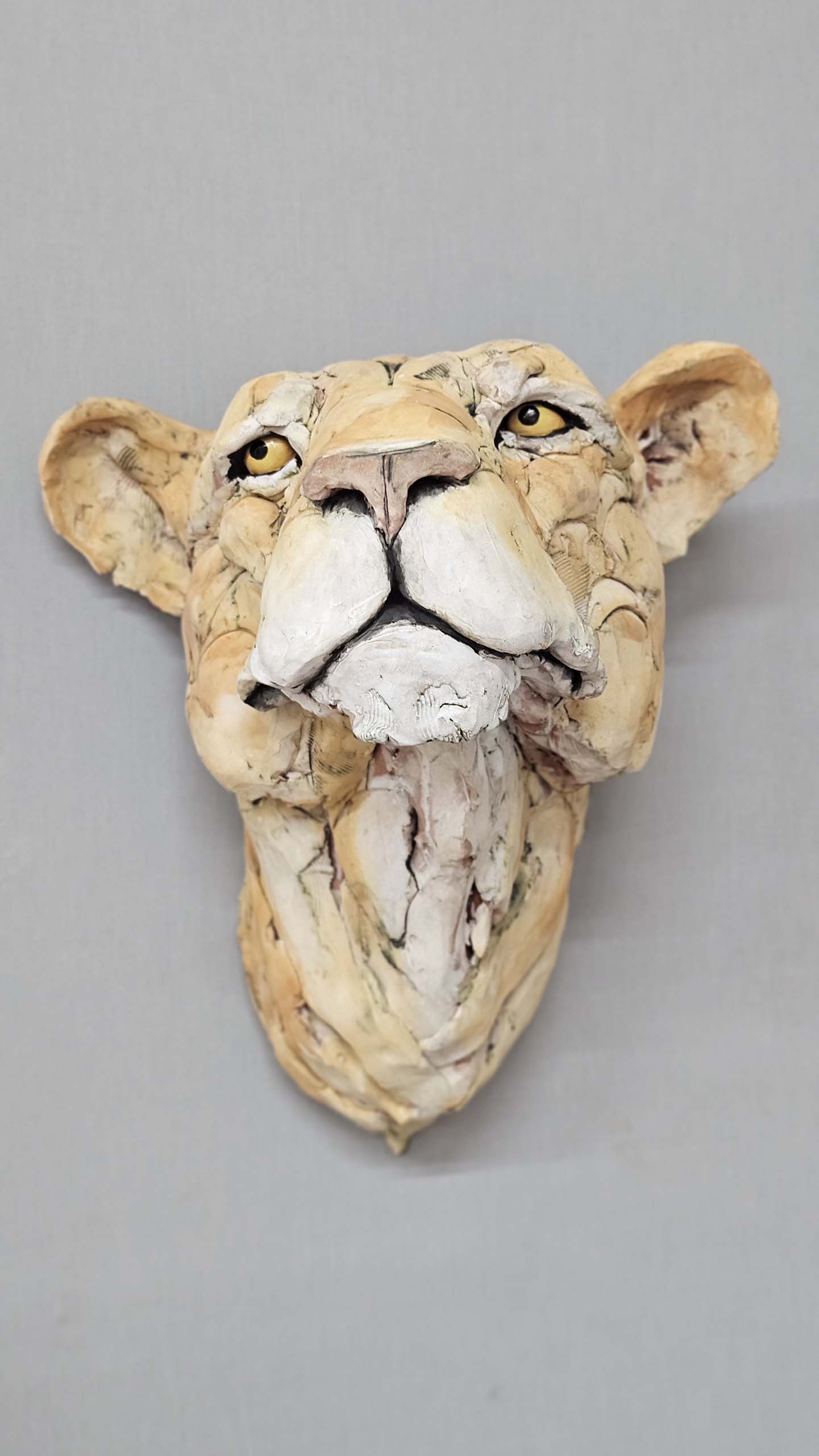 Lioness