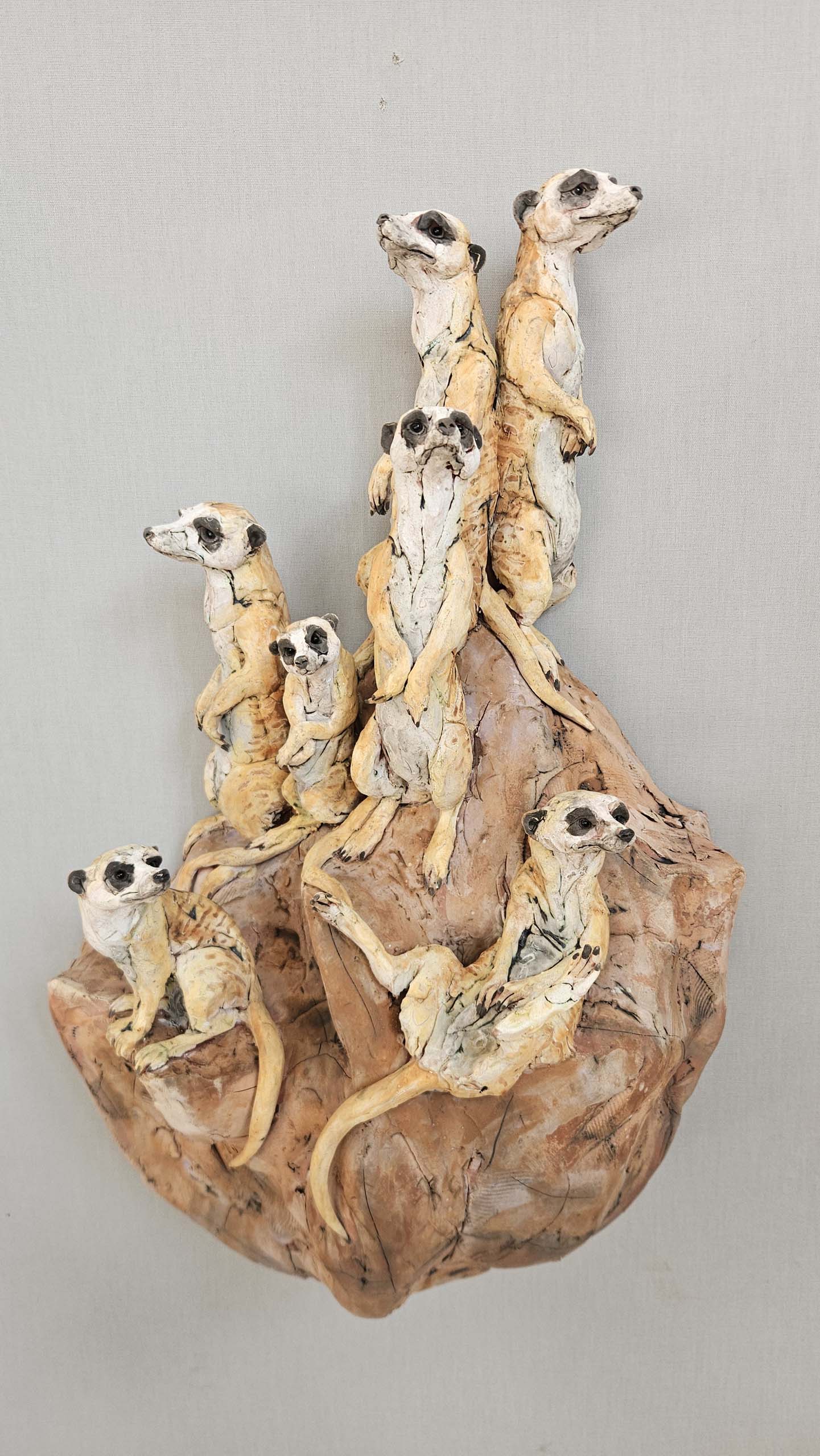 Meerkat Mob
