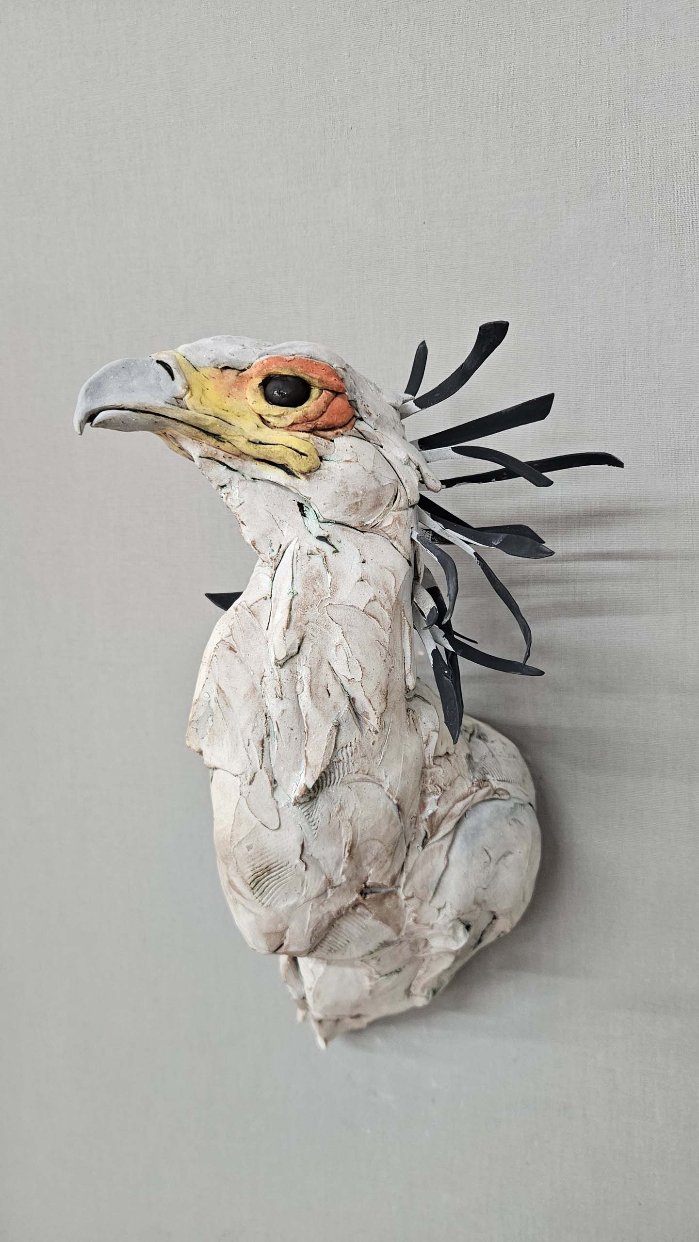 Secretary Bird