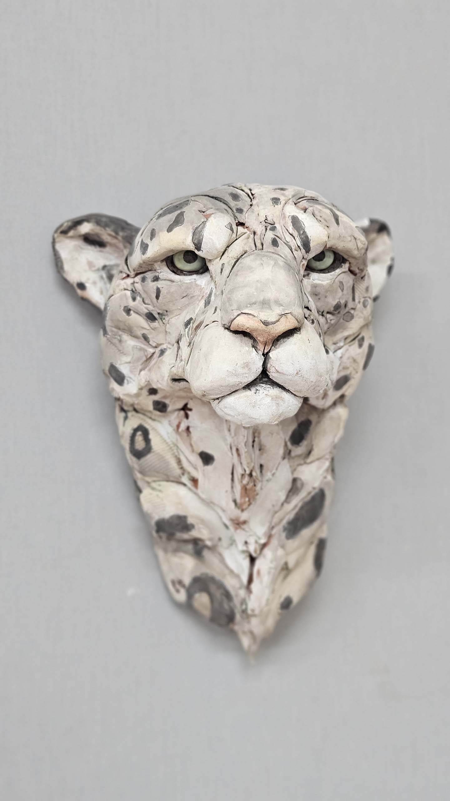 Snow Leopard