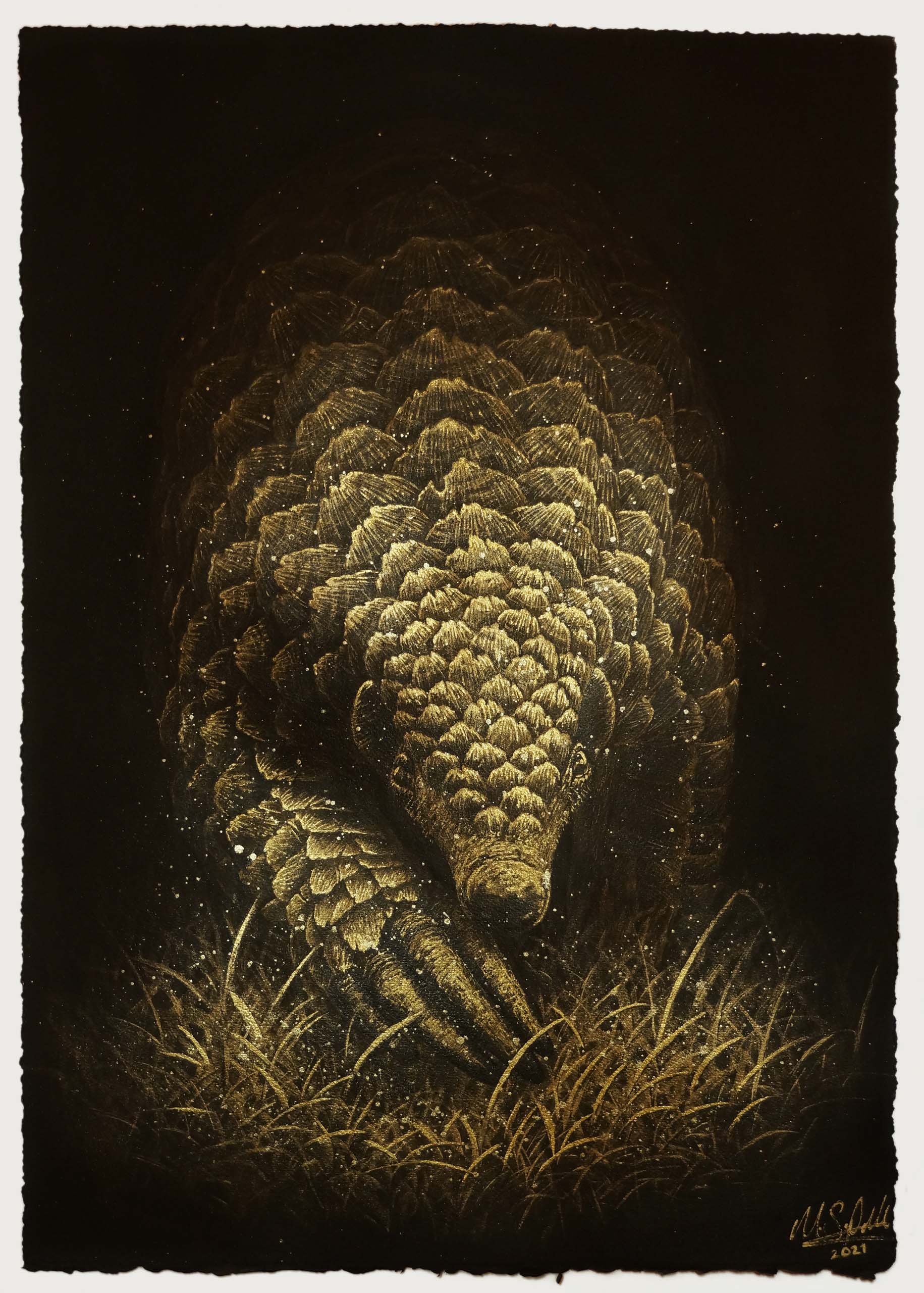 Pangolin