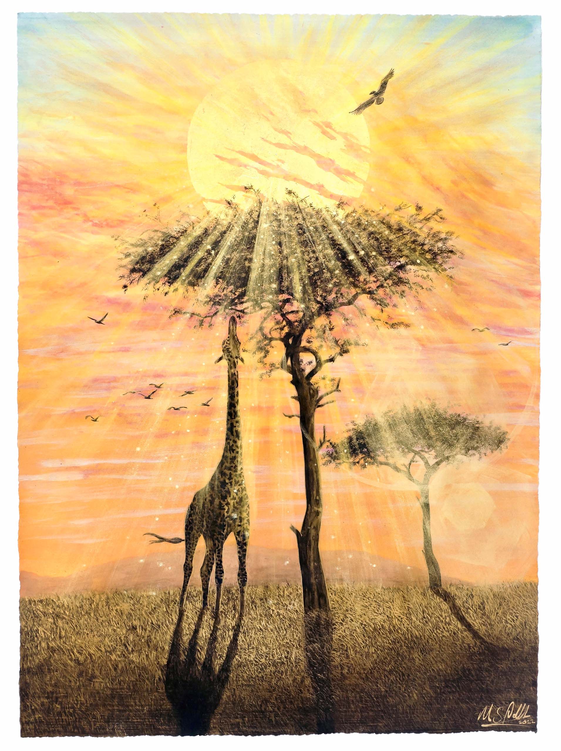 Sunrise on the Savannah