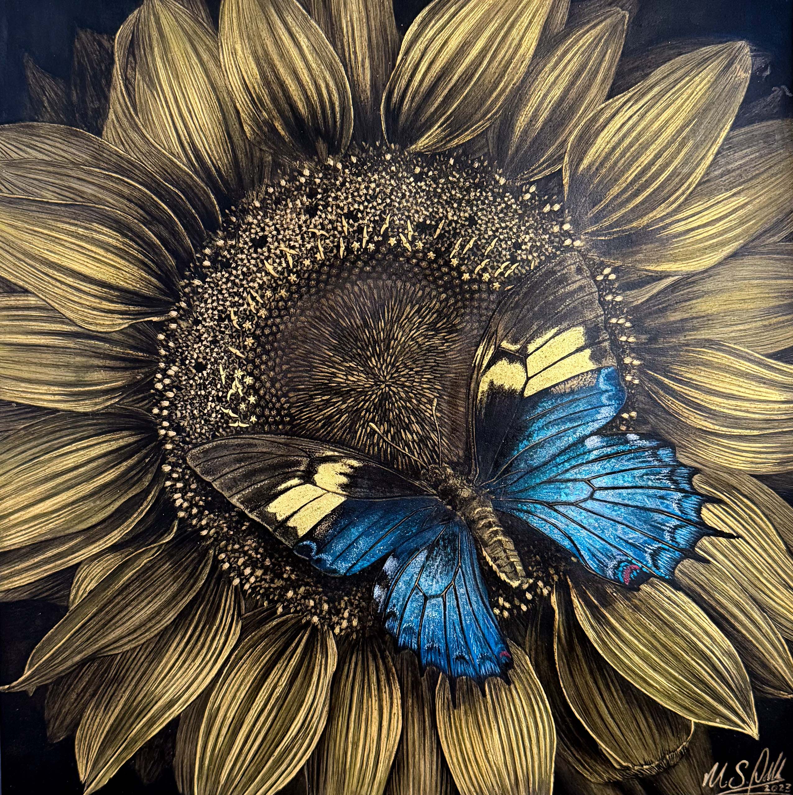 Swallowtail on a Sunflower