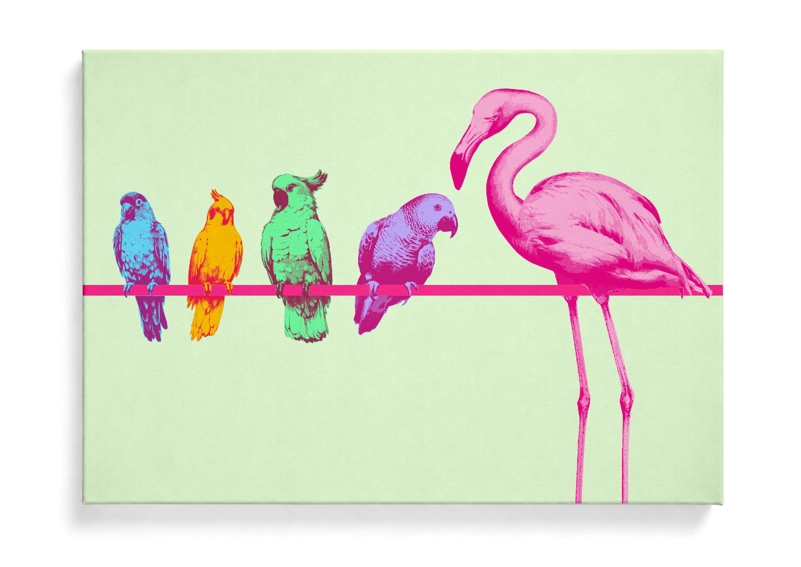 Birds of a Feather