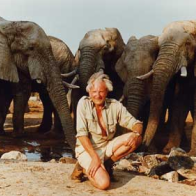 David Shepherd Wildlife Foundation