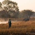 David Shepherd Wildlife Foundation