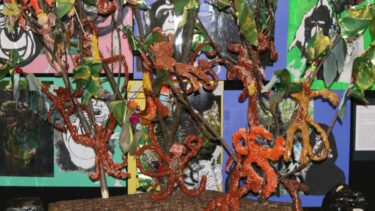 David Shepherd Wildlife Foundation