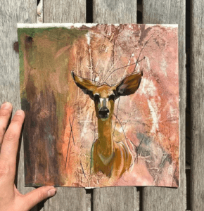 David Shepherd Wildlife Foundation