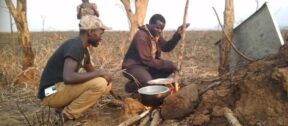 David Shepherd Wildlife Foundation