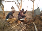 David Shepherd Wildlife Foundation