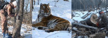 David Shepherd Wildlife Foundation