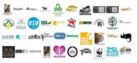 David Shepherd Wildlife Foundation