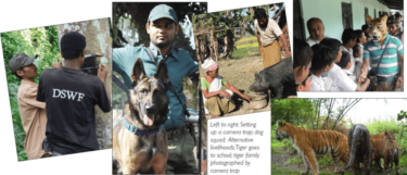 David Shepherd Wildlife Foundation