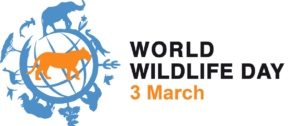 David Shepherd Wildlife Foundation