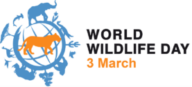 David Shepherd Wildlife Foundation