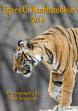 David Shepherd Wildlife Foundation