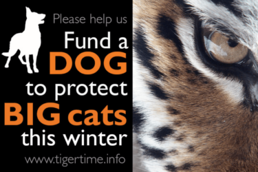 David Shepherd Wildlife Foundation