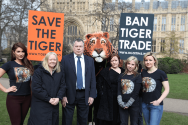 David Shepherd Wildlife Foundation