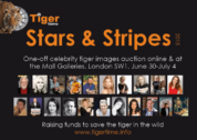 David Shepherd Wildlife Foundation