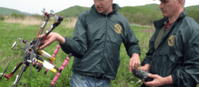 David Shepherd Wildlife Foundation