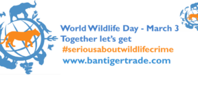 David Shepherd Wildlife Foundation