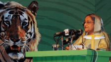 David Shepherd Wildlife Foundation