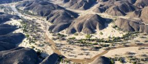 David Shepherd Wildlife Foundation