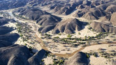 David Shepherd Wildlife Foundation