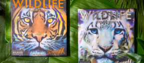 David Shepherd Wildlife Foundation